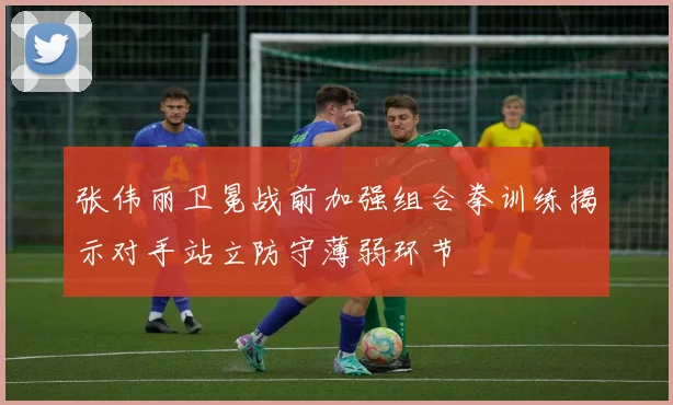 张伟丽卫冕战前加强组合拳训练揭示对手站立防守薄弱环节