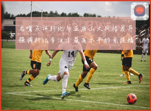 名嘴点评科比与亚历山大风格差异强调科比专注于最高水平的竞技精神
