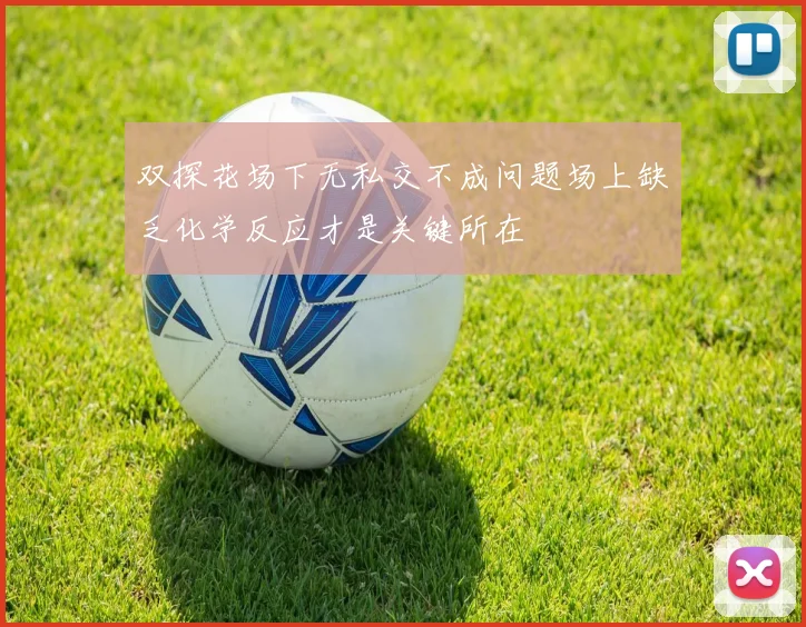 双探花场下无私交不成问题场上缺乏化学反应才是关键所在